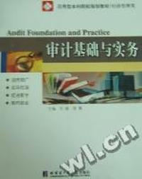 审计基础与实务
