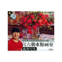 宫六朝水粉画室:花卉写生(VCD)