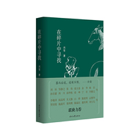 在碎片中寻找