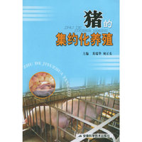 猪的集约化养殖