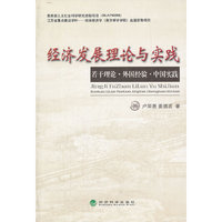经济发展理论与实践 若干理论、外国经验、中国实践