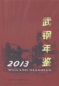 武钢年鉴：2013