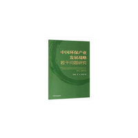 中国环保产业发展战略若干问题研究