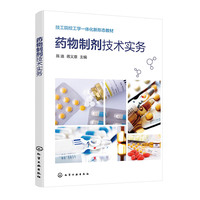 药物制剂技术实务(陈迪)