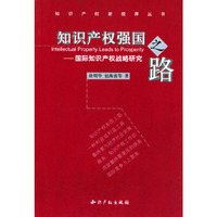 知识产权强国之路(国际知识产权战略研究)/知识产权新视界丛书