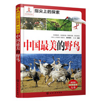 中国最美的野鸟