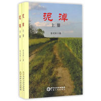 泥淖（上下册）