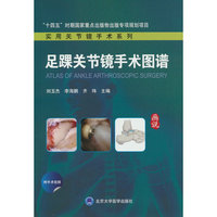 足踝关节镜手术图谱
