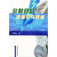 金融危机的理论与对策