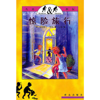 惊险旅行(儿童侦探)