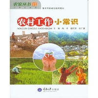 农村工作小常识(农家丛书·小常识系列)