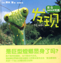 日本昆虫写真系列：发现
