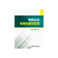 电网企业标准化建设实践