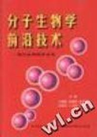 家庭律师