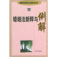 婚姻法新释与例解