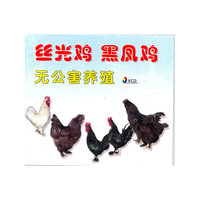 丝光鸡 黑凤鸡无公害养殖(VCD)