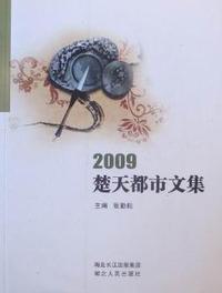 2009楚天都市文集
