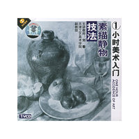 素描静物技法 1小时美术入门(VCD)
