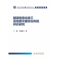 隧道信息化施工及地质灾害综合风险评价研究