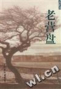 老营盘