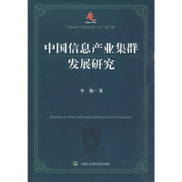 中国信息产业集群发展研究