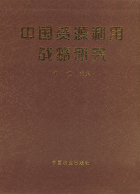 中国资源利用战略研究（含光盘一张）盒装
