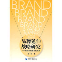 品牌延伸战略研究-基于企业多元化视角