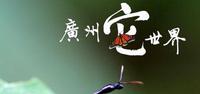 癀州它世界