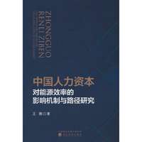 中国人力资本对能源效率的影响机制与路径研究
