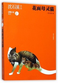 花面母灵猫-沈石溪作品