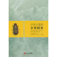 中国小蠹科分类纲要