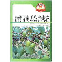 台湾青枣无公害栽培