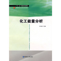 化工能量分析