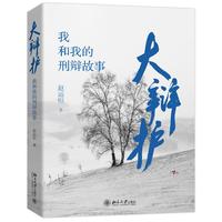 大辩护：我和我的刑辩故事(一位刑事辩护专业律师讲述自己从业二十年中遇到和经历的职场故事)
