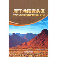 库车坳陷露头区致密砂岩裂缝发育特征研究