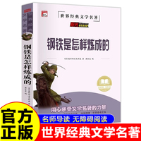 钢铁是怎样炼成的 世界经典名著童话故事儿童文学畅销读物 小学生一二三四五六年级课外阅读暑假寒假好书