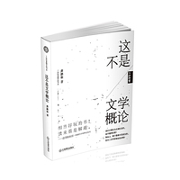 这不是文学概论