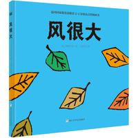 风很大