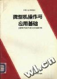 微型机操作与应用基础