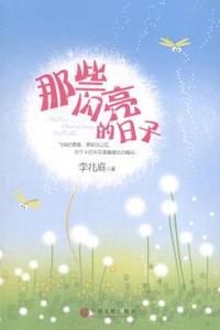 那些闪亮的日子