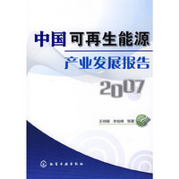 中国可再生能源产业发展报告2007