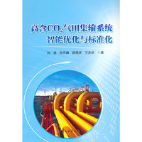 高含CO2气田集输系统智能优化与标准化