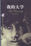 我的大学：超值赠送电影版影碟