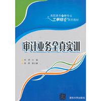 审计业务全真实训