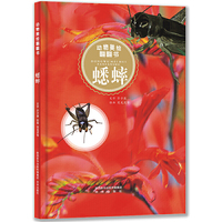 动物美绘翻翻书 蟋蟀