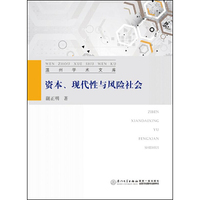 资本、现代性与风险社会