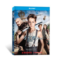 小飞侠：幻梦启航（蓝光碟 BD50）