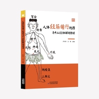 人体经筋循行地图与十二经脉解剖图谱