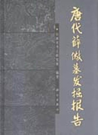 唐代薛儆墓发掘报告