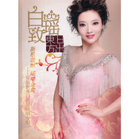 王杰浪子柔情(2CD)